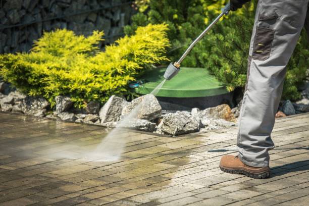 Best Solar Panel Cleaning  in Spotswood, NJ